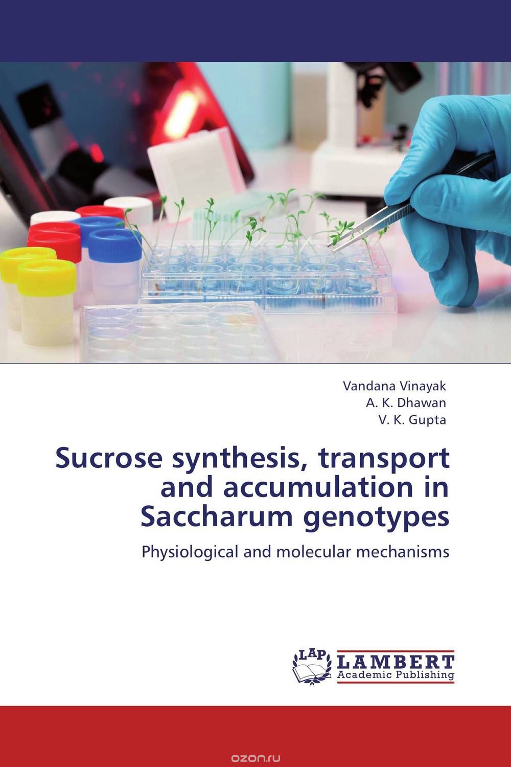 Sucrose synthesis, transport and accumulation in Saccharum genotypes