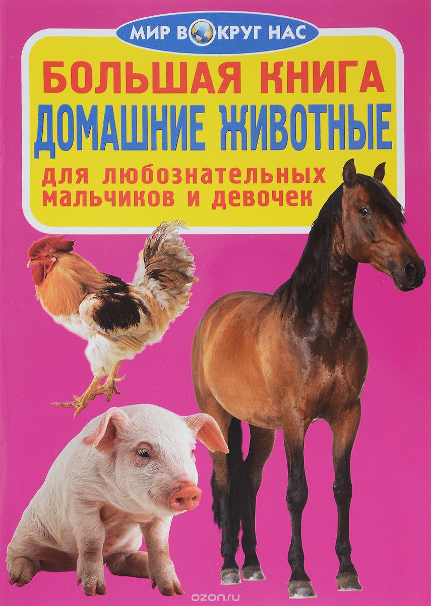 Скачать книгу "Домашние животные, О. В. Завязкин"