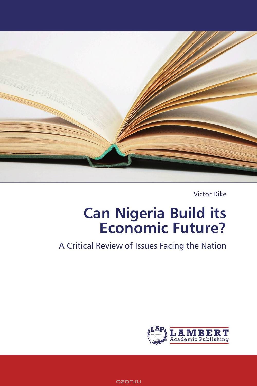 Скачать книгу "Can Nigeria Build its Economic Future?"