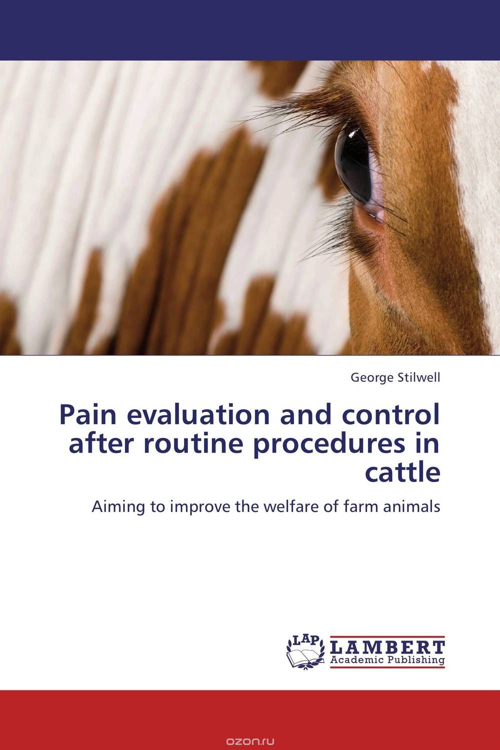 Pain evaluation and control after routine procedures in cattle