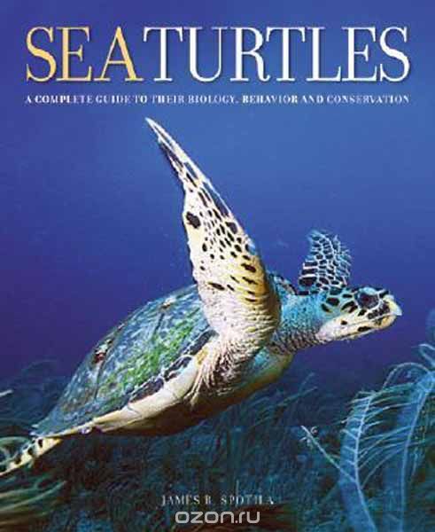 Sea Turtles – A Complete Guide to Their Biology, Behavior and Conservation
