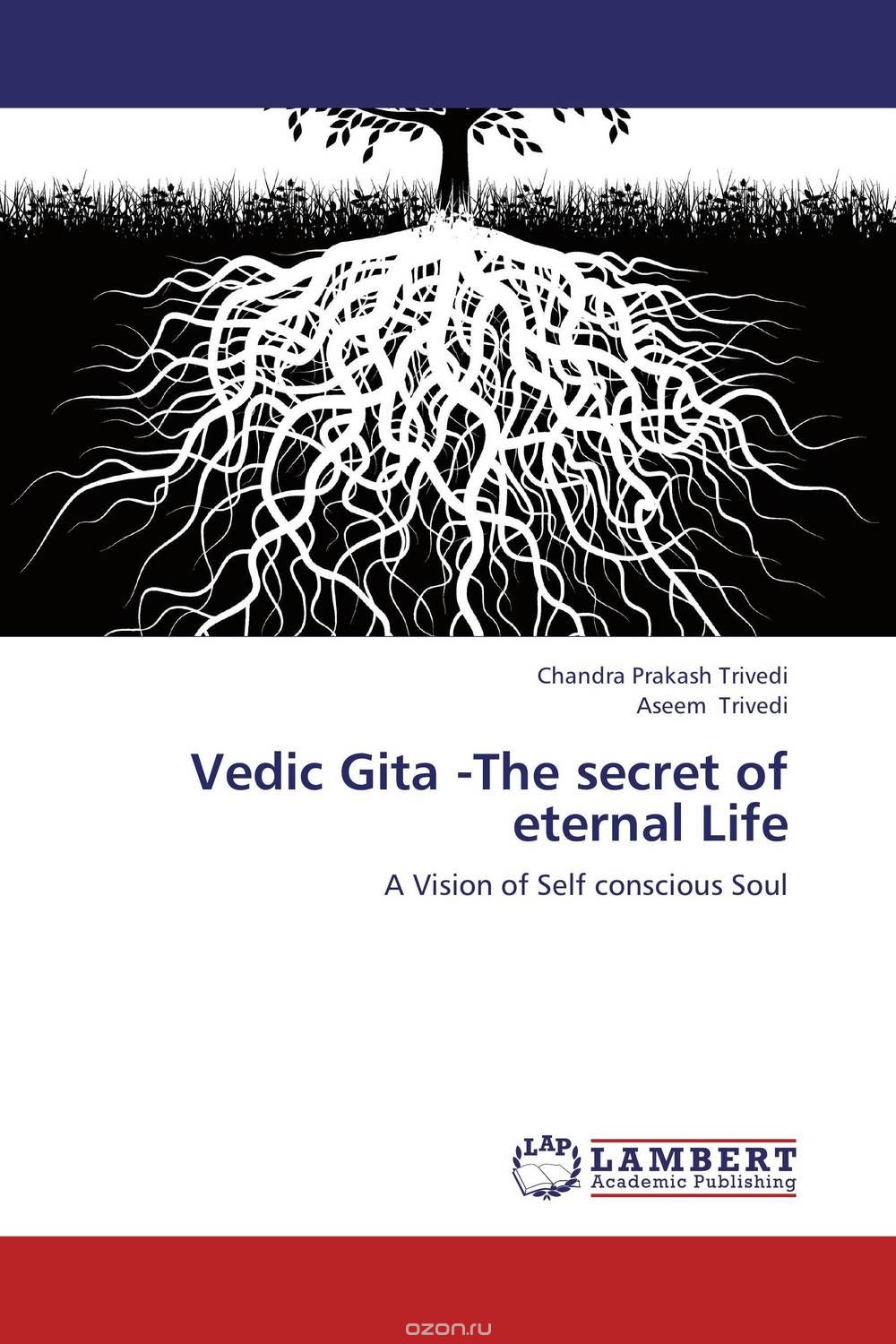 Скачать книгу "Vedic Gita -The secret of eternal Life"