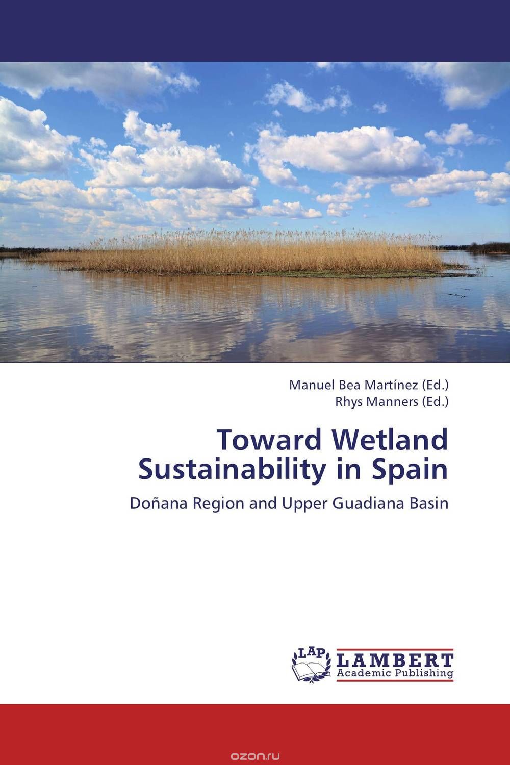 Скачать книгу "Toward Wetland Sustainability in Spain"