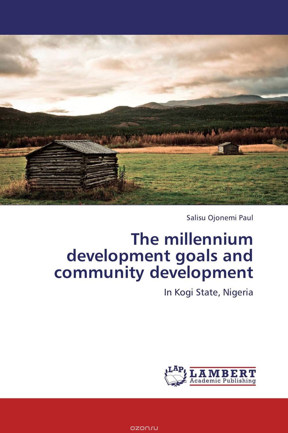 The millennium development goals and community development