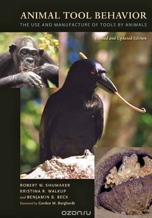 Animal Tool Behavior – The Use and Manufacture of Tools by Animals – Revised Edition
