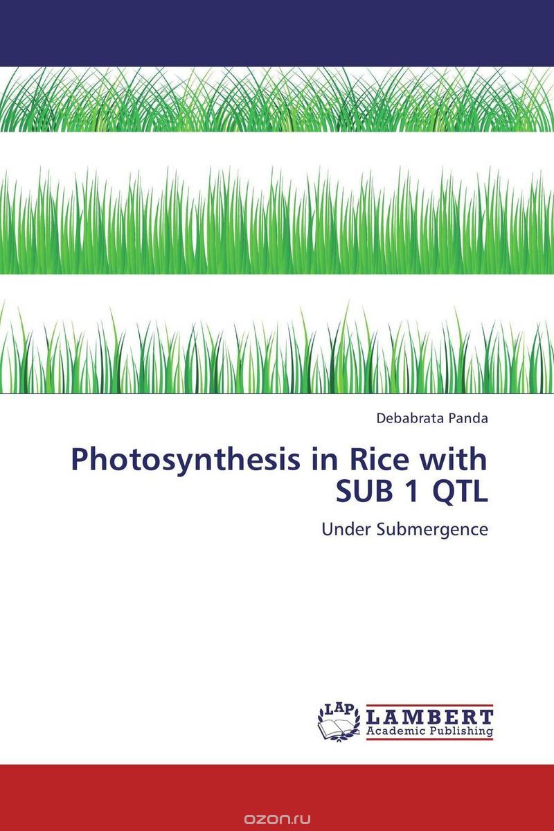 Скачать книгу "Photosynthesis in Rice with SUB 1 QTL"