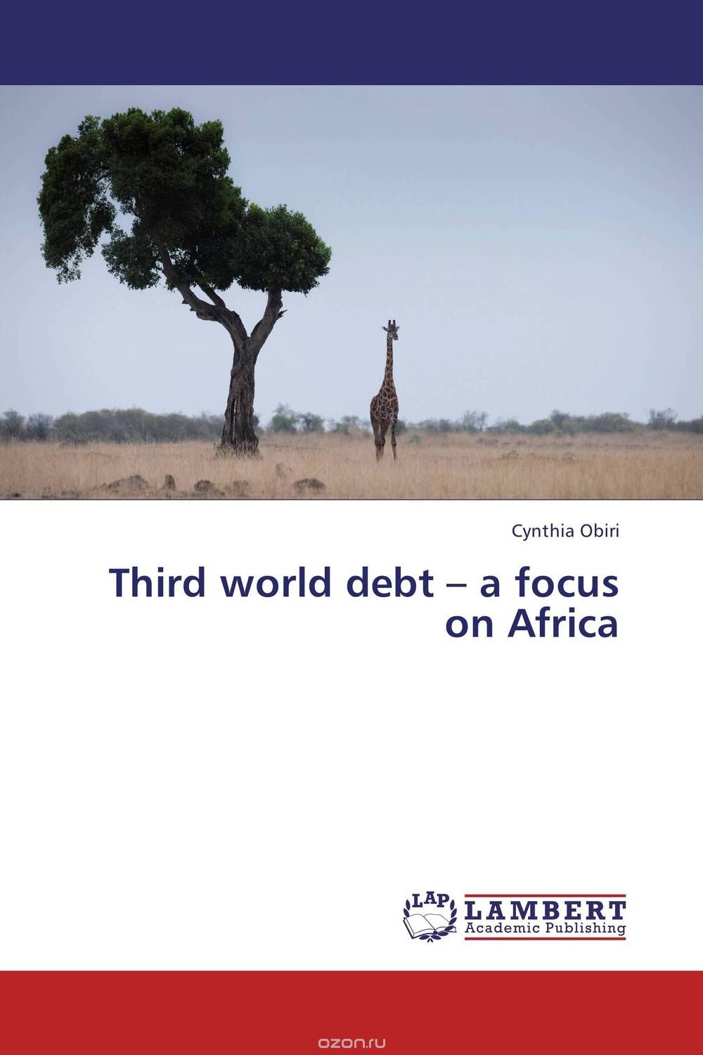Third world debt – a focus on Africa