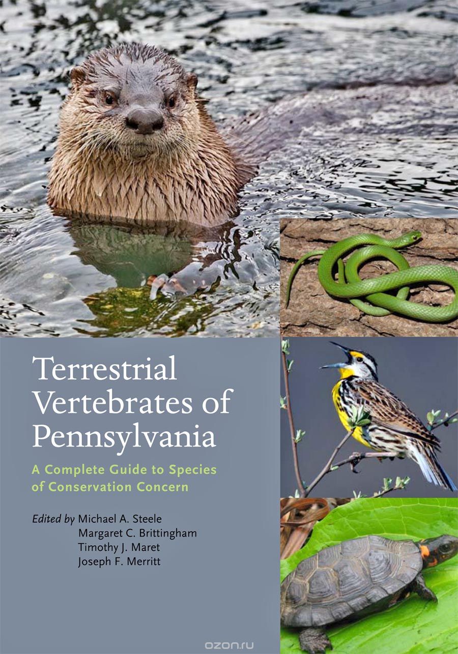 Скачать книгу "Terrestrial Vertebrates of Pennsylvania – A Complete Guide to Species of Conservation Concern"