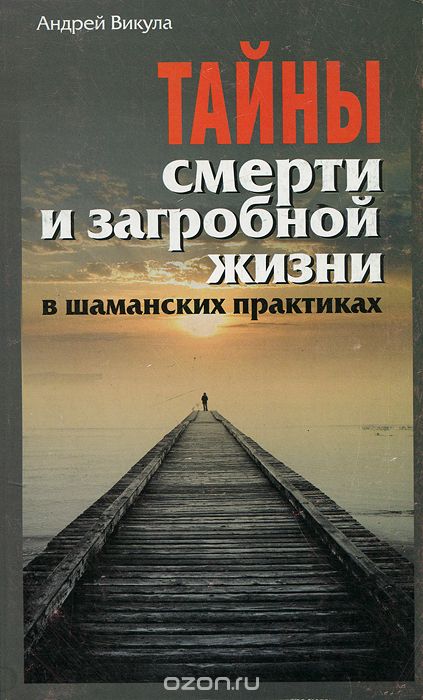 Скачать книгу "Тайны смерти и загробной жизни в шаманских практиках, Андрей Викула"