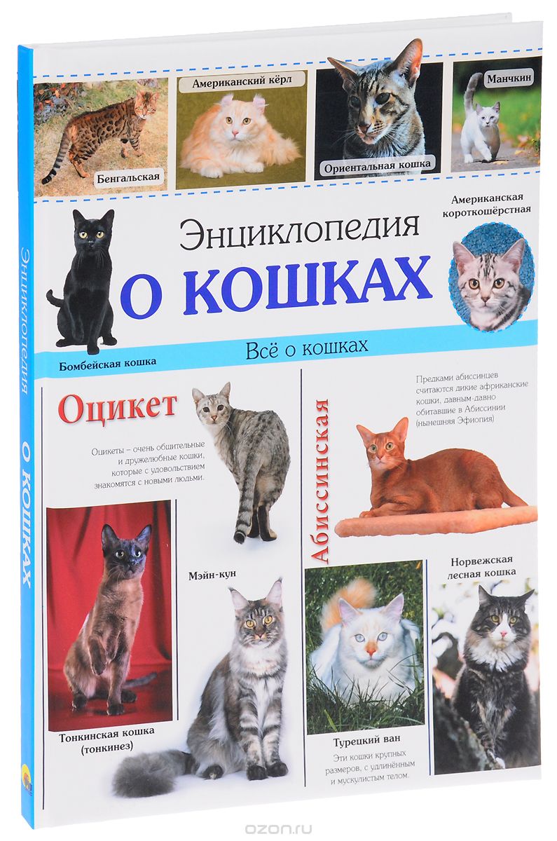 Энциклопедия о кошках, Ярослава Соколова