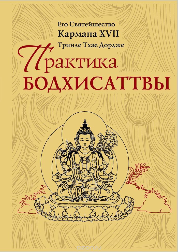 Практика Бодхисаттвы, Его Святейшество Кармапа XVII