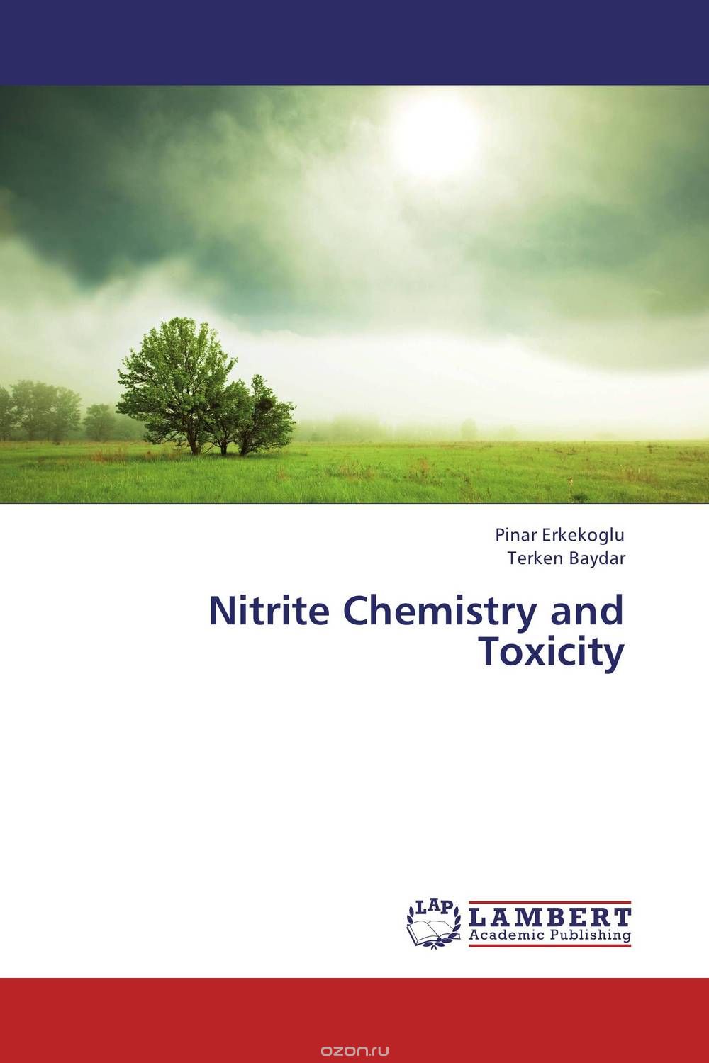 Nitrite Chemistry and Toxicity